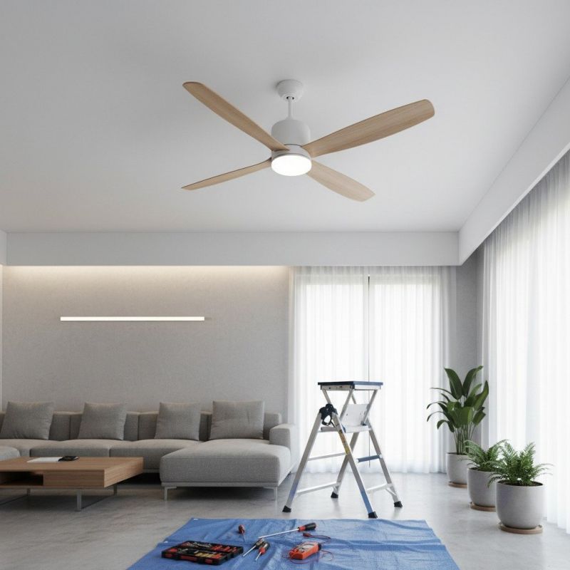 Ceiling Fan Replacement